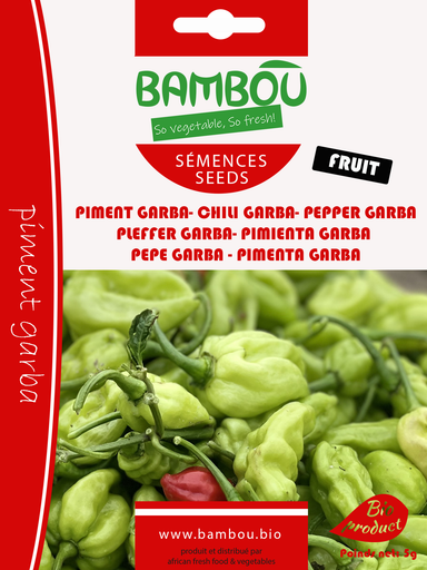 Semences de piment vert Garba