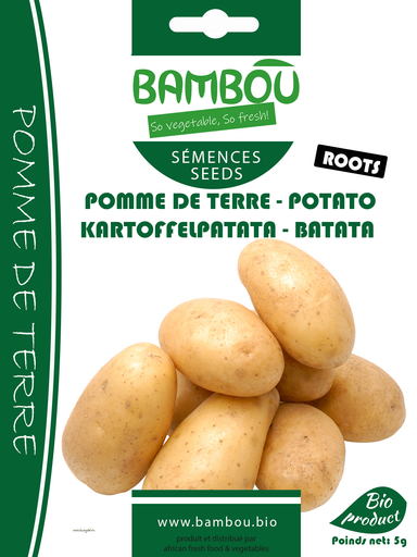 Semences de pomme de terre