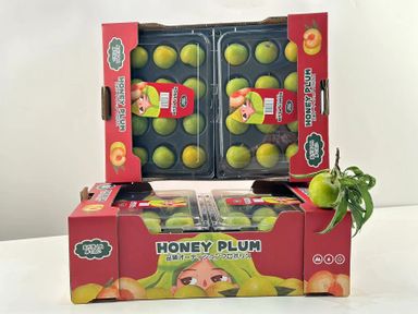 贵州蜂糖李子 Gui Zhou Honey Plum 4 in 1