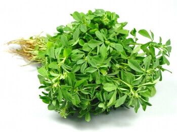 Methi