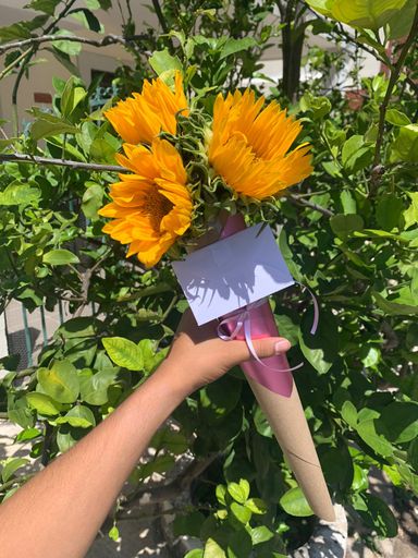 Cono de Girasoles