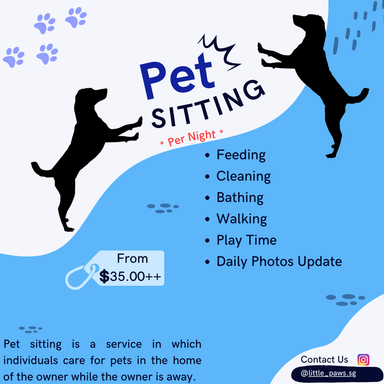 Pet Sitting (Overnight)