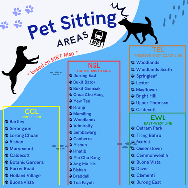 Pet Sitting (Overnight)