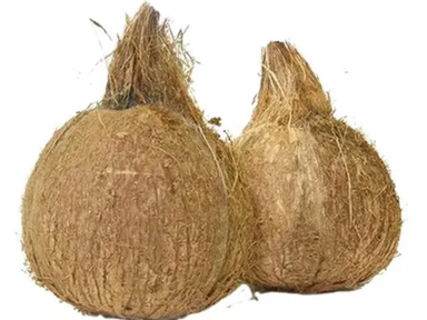 Coconut