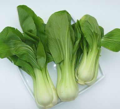 Bok Choi