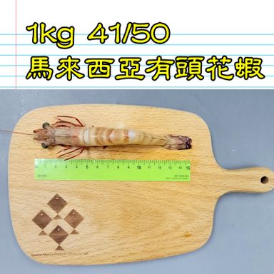 1kg 馬來西亞 有頭花蝦 41-50隻