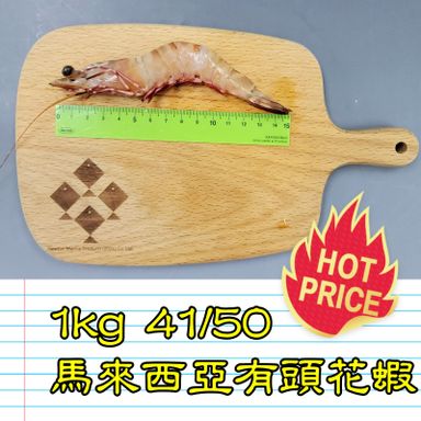 1kg 馬來西亞 有頭花蝦 41-50隻