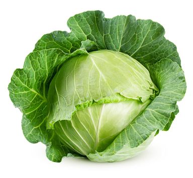 Cabbage