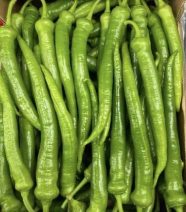 Spanish Long Green Chilli Box