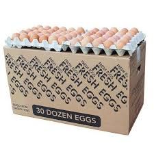 Egg Box (12 Trays)