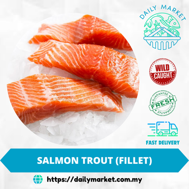 SALMON TROUT (FILLET) | IKAN SALMON (FILET) | 三文鱼肉 @ DAILY MARKET