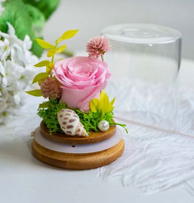 Pink Rose Dome
