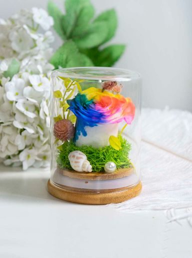 Rainbow Rose Dome