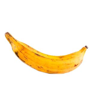 Platano Macho