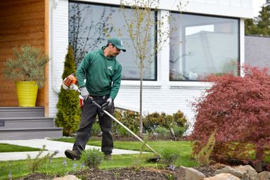 E. LANDSCAPING / GARDENING ENTIRE SERVICES