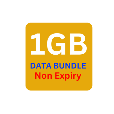 1GB DATA BUNDLE 