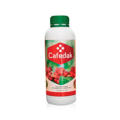 Cafedak