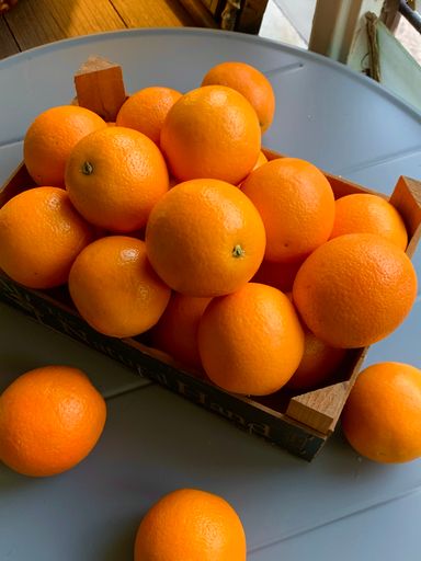 Navel Orange Egypt