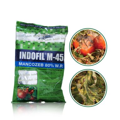 INDOFIL M-45