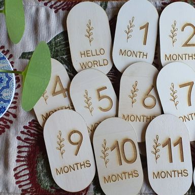 Baby Milestone Discs