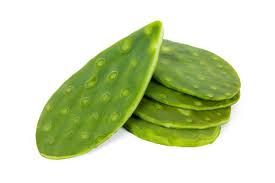 Nopal Cambray