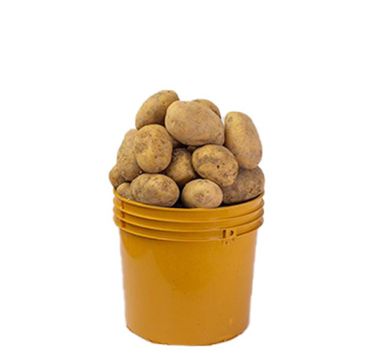 Irish potatoes 