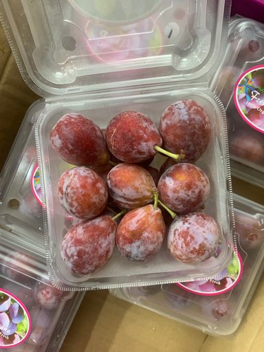 CHN SUGAR PLUMS