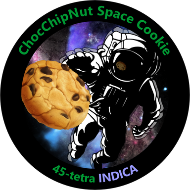 ChocChipNut Space Cookie