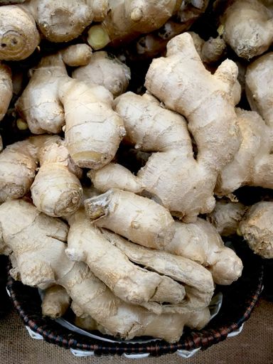 Ginger (blue buckets)