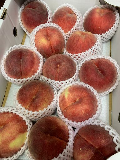 JPN YAMANASHI MOMO PEACHES