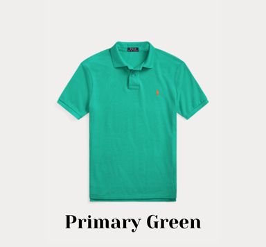 Custom Slim Fit Mesh Polo Shirt (Grp 1)