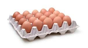 Eggs