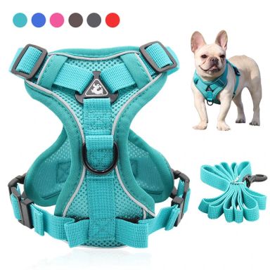 Dog Harness Leash Set Adjustable Pet Harness Vest