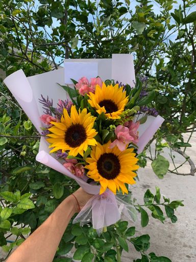 Girasoles con follaje