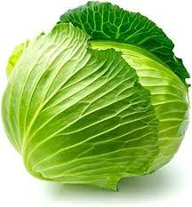 Cabbage 