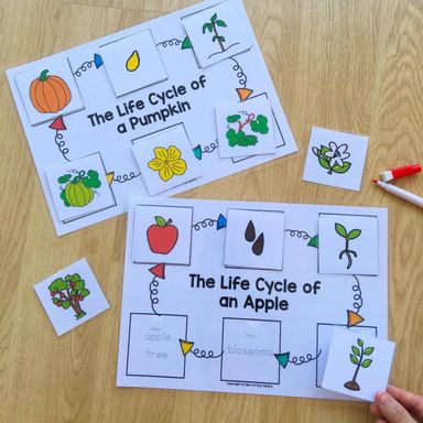 Learning Kit Fruits and Vegetables Theme for 4-6 years old 