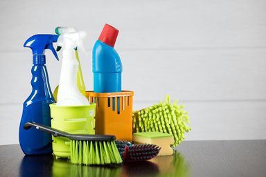 Domestic Cleaning Services 