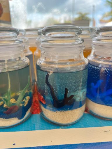 Scented Gel Candles, Ocean theme " - BOX x 12 Jars