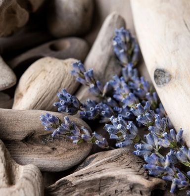 Lavender Driftwood 