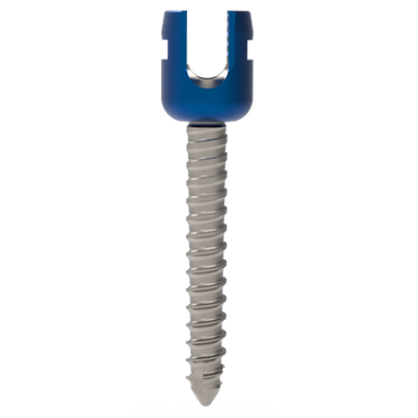 Poly axial spine screw 