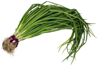 Spring Onions