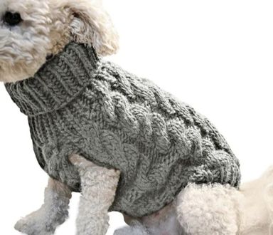 Pet Sweater