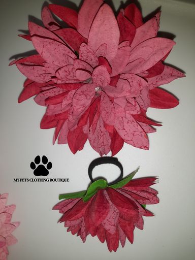 Pet Collar Accessories 