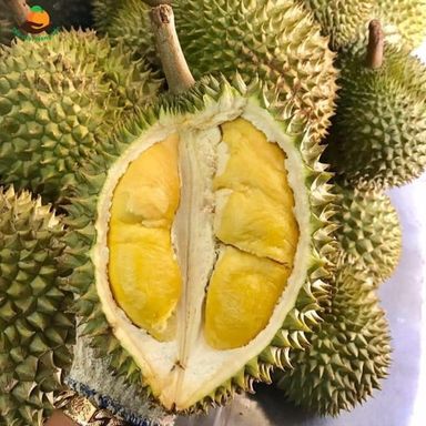 Durian Thai - Viet nam