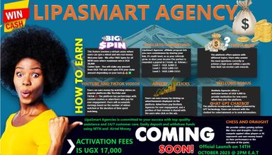 Lipasmart Agencies 