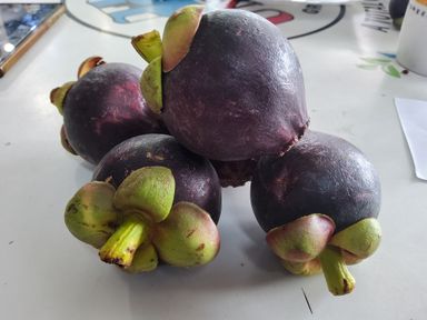 Japan Mangosteen (3kg)