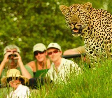 KRUGER NATIONAL PACK GAME DRIVE.