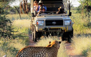 KRUGER NATIONAL PACK GAME DRIVE.