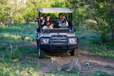 KRUGER NATIONAL PACK GAME DRIVE.