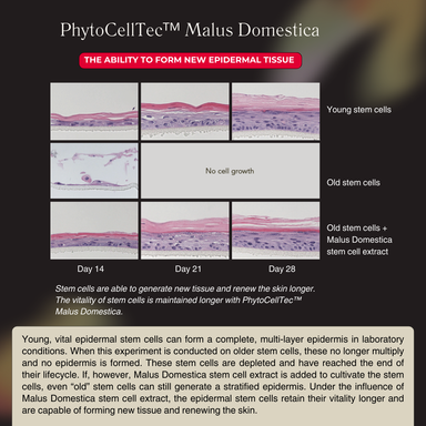 CICA SKIN: Phytocean Repair Booster 